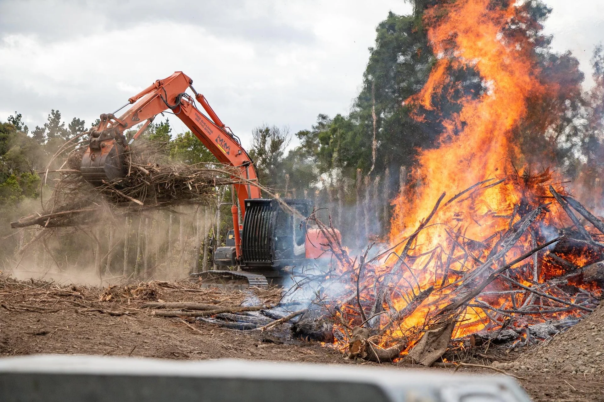 Emergency tree services and callouts