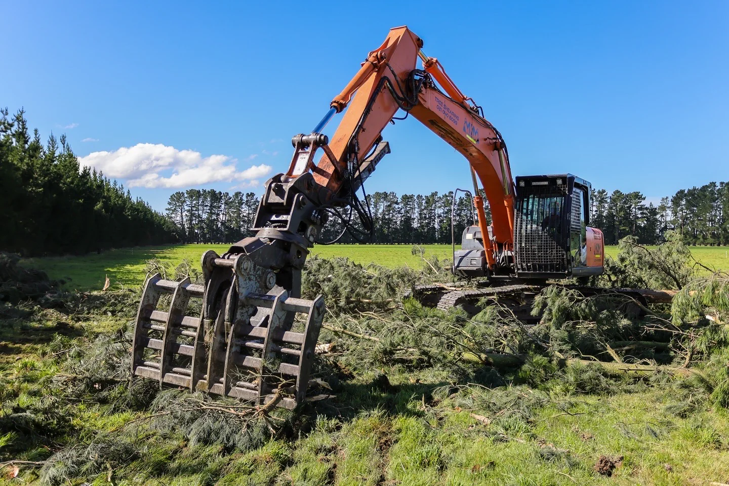 Emergency tree removal services responding to storm damage