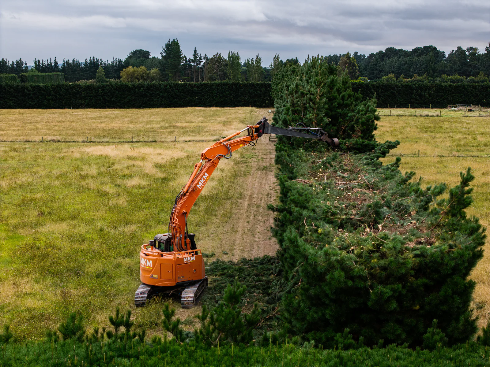 Professional tree service equipment and landscape
