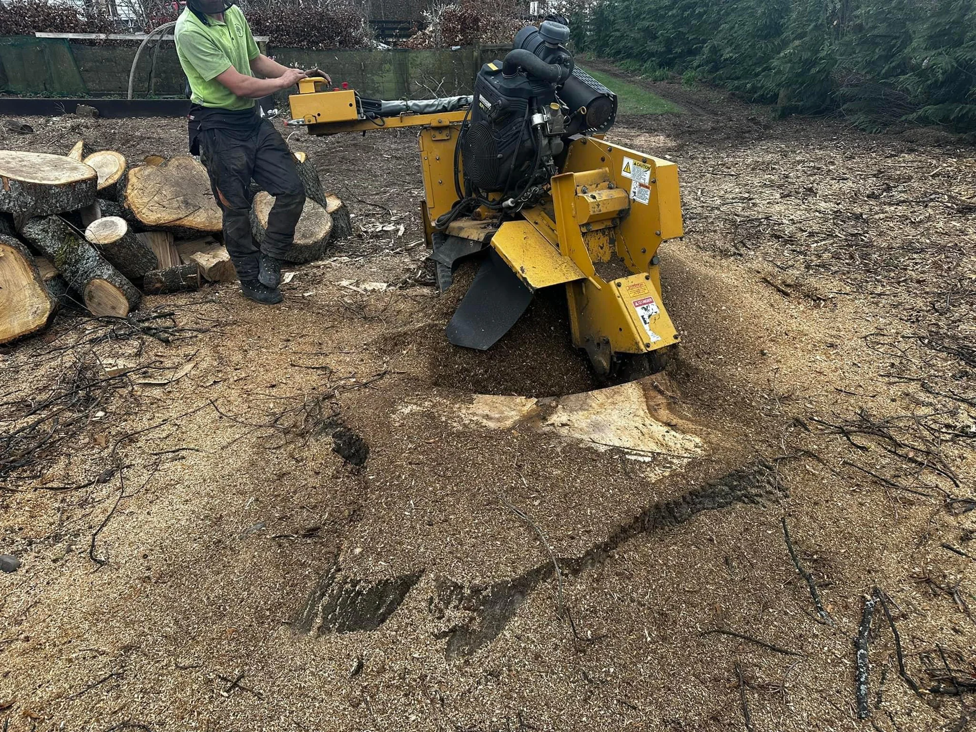 Professional stump grinding equipment in action