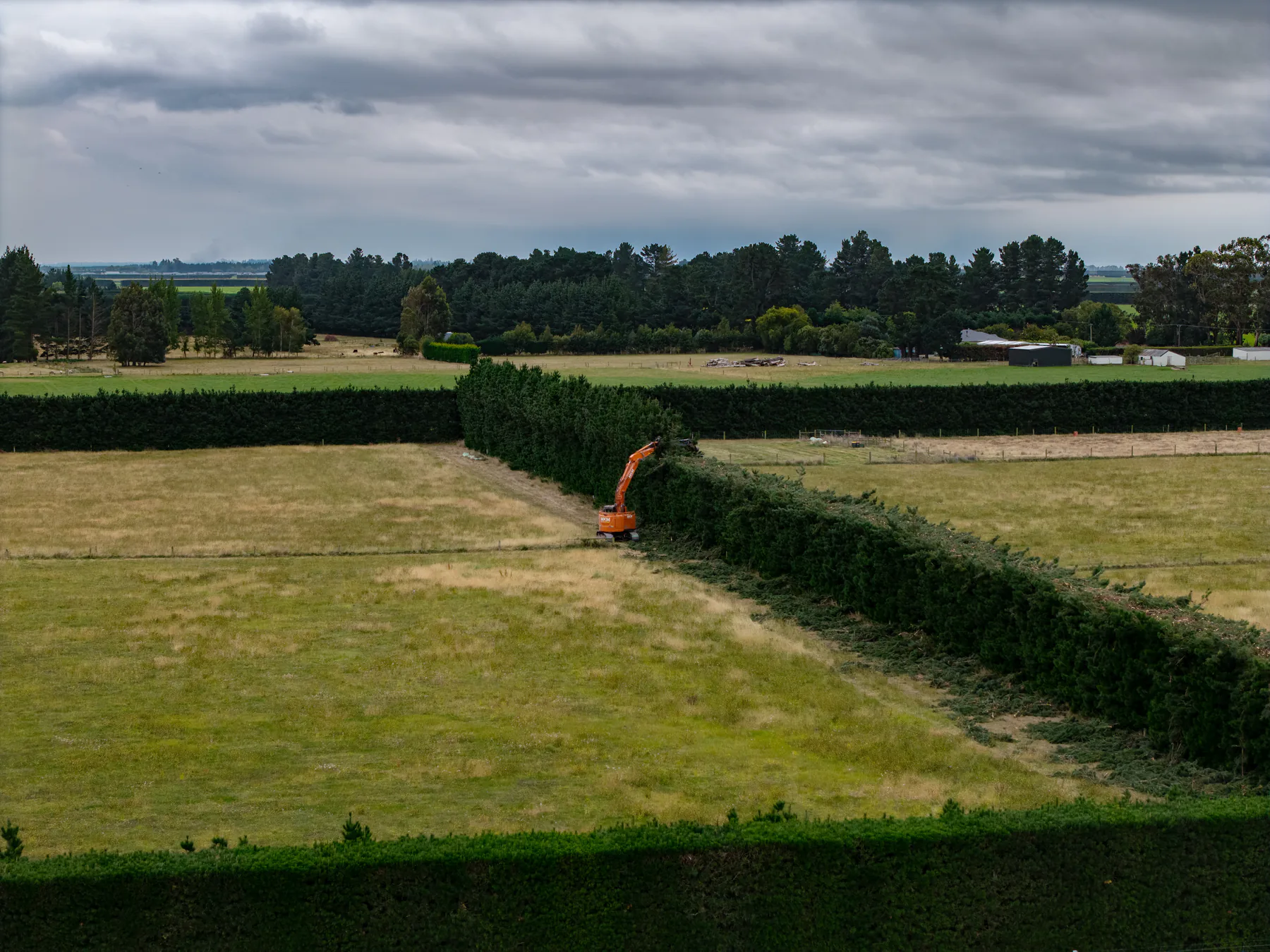 Professional tree care tips and advice from MKM Trees experts