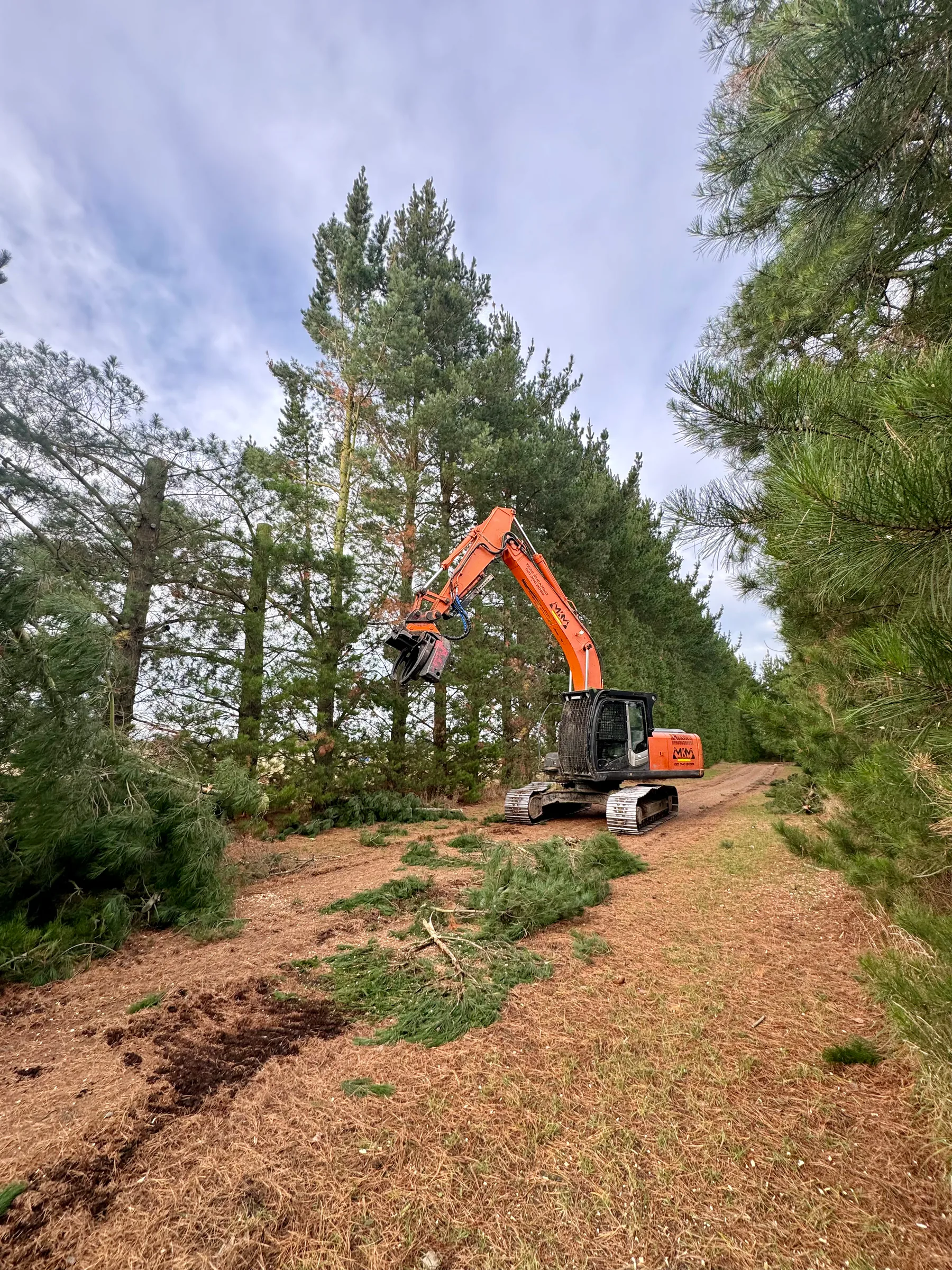 Tree topping and vegetation management services